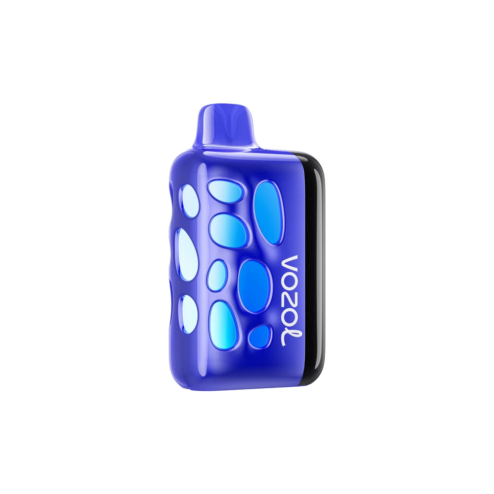 VOZOL RAVE 40000 VOZOL RAVE 40000